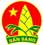 Hội đồng Đội tỉnh